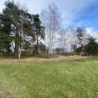 Prodej ostatního pozemku 11 526 m² Kaplice Pořešín