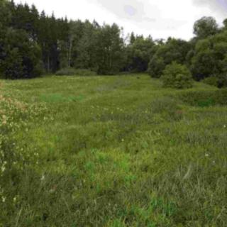 Prodej zemědělské půdy 22 334 m² Chýnov Dobronice u a