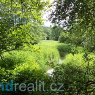 Prodej zemědělské půdy 3859 m² Číměř