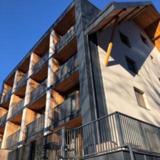 Prodej bytu 1+kk, garsoniery 30 m² Bedřichov