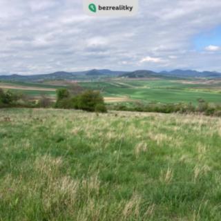 Prodej zemědělské půdy 26 200 m² Chožov Mnichovský Týnec