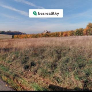 Prodej stavební parcely 3 767 m² Horní Branná