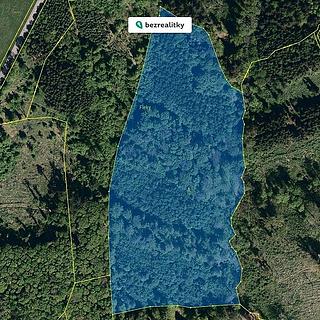 Prodej lesa 32 570 m² Bojkovice Přečkovice