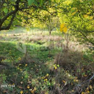 Prodej stavební parcely 1 161 m² Koloveč Zichov