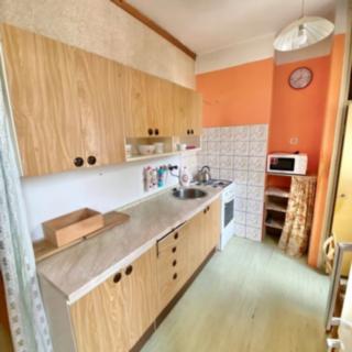 Prodej bytu 2+1 59 m² Karlovy Vary Tašovice, Hradištní