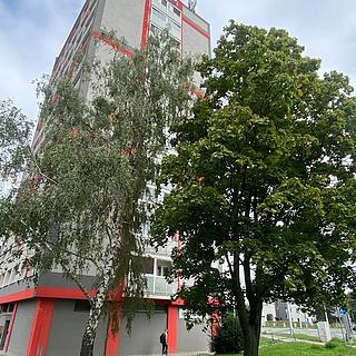 Prodej bytu 3+1 64 m² Ostrava, Výškovická