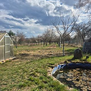 Prodej zemědělské půdy 2950 m&sup2; Rohatec