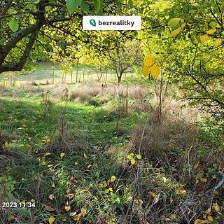 Prodej stavební parcely 1161 m&sup2; Koloveč