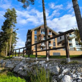 Prodej bytu 1+kk a garsoniéry 65 m² Lipno nad Vltavou
