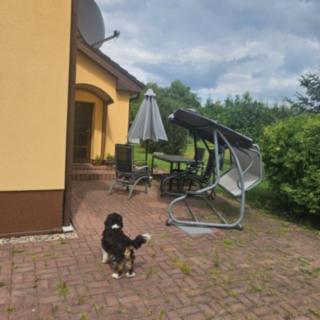 Prodej rodinného domu 100 m² Mělník, Ořechová