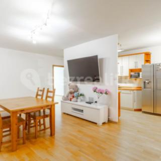 Prodej bytu 4+kk 119 m² Praha