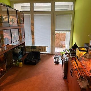 Prodej bytu 3+kk 97 m&sup2; Plzeň