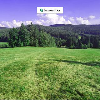 Prodej louky 7 699 m² Zdíkov Nový Dvůr