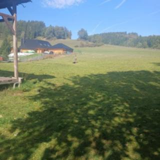 Prodej stavební parcely 2 250 m² Krasov