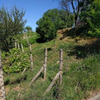Prodej stavební parcely 146 m² Horní Věstonice, Višňová