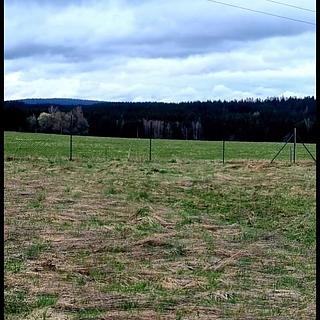 Prodej stavební parcely 571 m² Zádub-Závišín