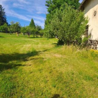 Prodej zahrady 1200 m² Manětín