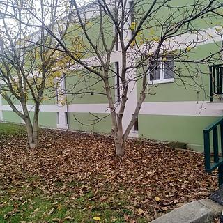 Prodej garáže 18 m² Praha Stodůlky, Pavrovského