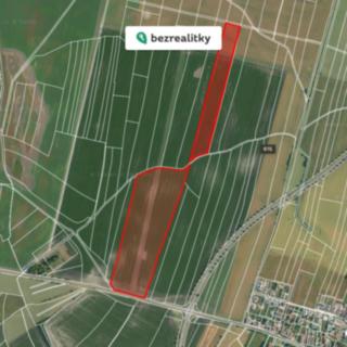 Prodej zemědělské půdy 81821 m² Jestřabí Lhota
