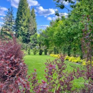 Prodej stavební parcely 806 m² Česká Lípa