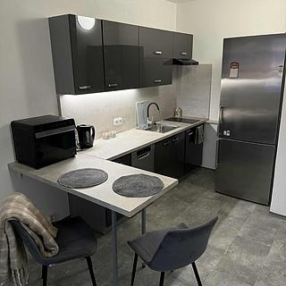 Prodej bytu 2+kk 42 m² Děčín V-Rozbělesy, Závodní