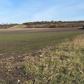 Prodej zemědělské půdy 2 534 m² Nedomice