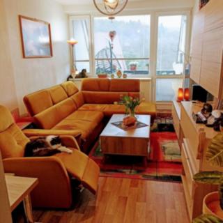 Prodej bytu 2+kk 47 m² Všemina