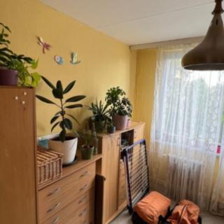 Prodej bytu 2+kk 42 m² Praha Ruzyně, Vlastina
