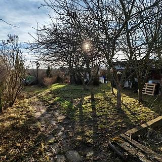 Prodej zahrady 303 m² Nová Role