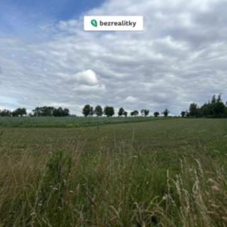Prodej zemědělské půdy 7000 m² Bukovinka