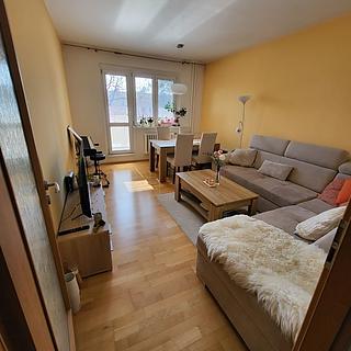 Prodej bytu 3+1 73 m² Brno Černá Pole, Merhautova