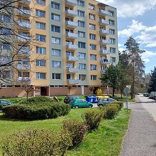 Prodej bytu 1+1 35 m&sup2; Písek