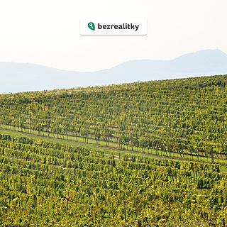 Prodej ostatních pozemků 2219 m&sup2; Němčičky