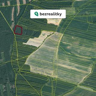 Prodej lesa 11 170 m² Rybnice