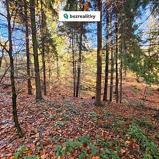 Prodej lesa 31850 m&sup2; Bílovec