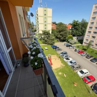 Prodej bytu 2+kk 50 m² Dačice