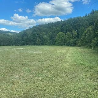 Prodej stavební parcely 13 396 m² Bohdíkov