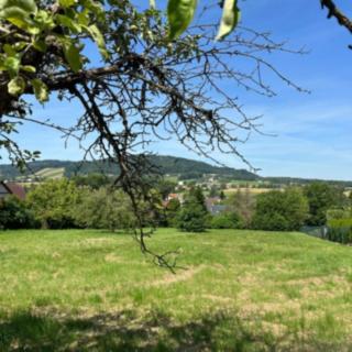 Prodej stavební parcely 930 m² Palkovice