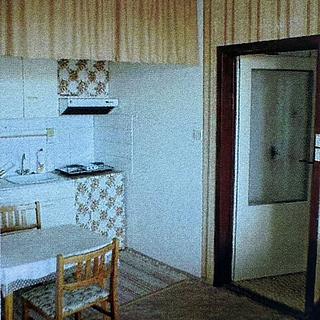 Prodej bytu 2+kk 48 m² České Budějovice