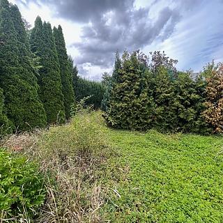 Prodej stavební parcely 1761 m² Líbeznice