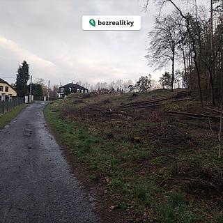 Prodej stavební parcely 3052 m² Buš