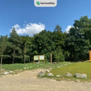 Prodej lesa 1 803 m² Prostějov Domamyslice
