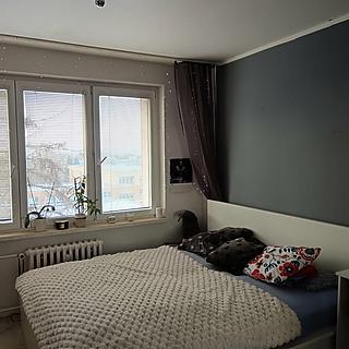 Prodej bytu 3+1 78 m² Ostrava