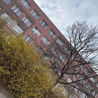 Prodej bytu 2+kk 53 m&sup2; Králův Dvůr