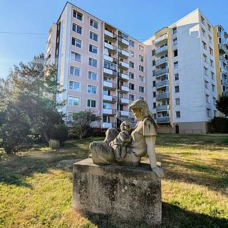 Prodej bytu 3+1 74 m² Rožnov pod Radhoštěm, Svazarmovská