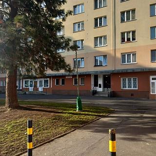 Prodej bytu 1+kk a garsoniéry 18 m² Karlovy Vary Stará Role, Fibichova