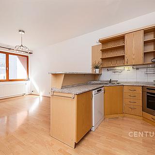 Pronájem bytu 2+kk 52 m² Praha Žižkov, Lukášova