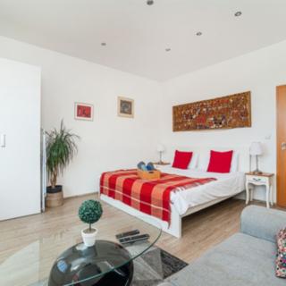Pronájem bytu 1+1 30 m² Praha