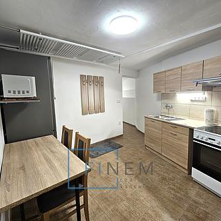 Pronájem bytu 1+1 25 m² Kostelec nad Labem, Neratovická