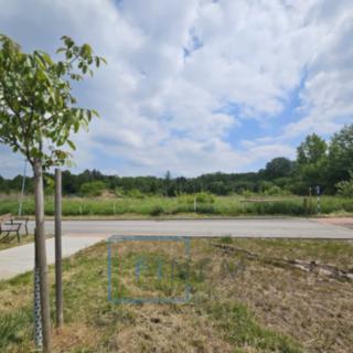 Prodej stavební parcely 1048 m² Nelahozeves